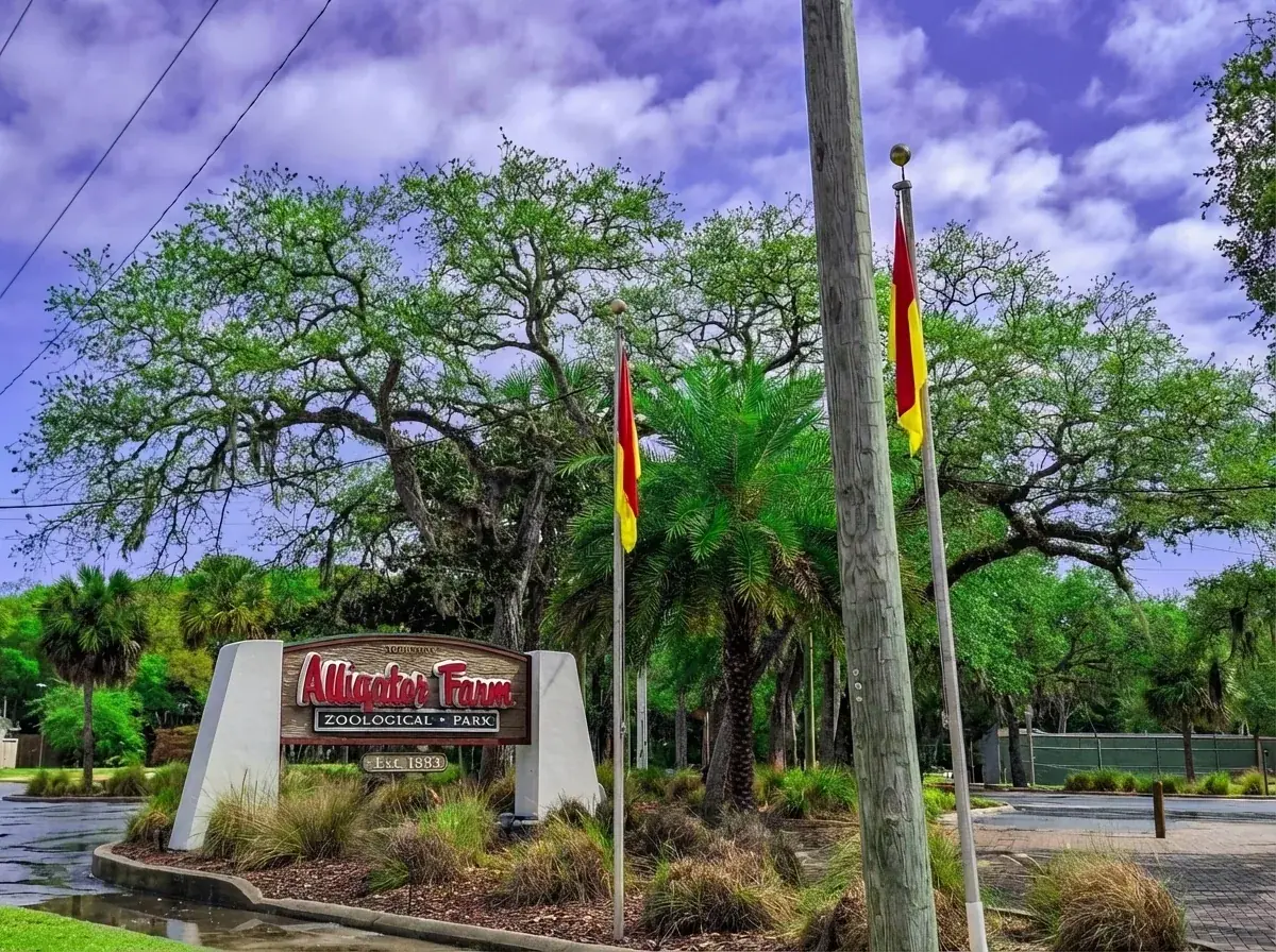 Alligator Farm Zoological Park entrance sign with palm trees and Spanish moss in St. Augustine Florida